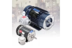 Regalbeloit Electric Motors